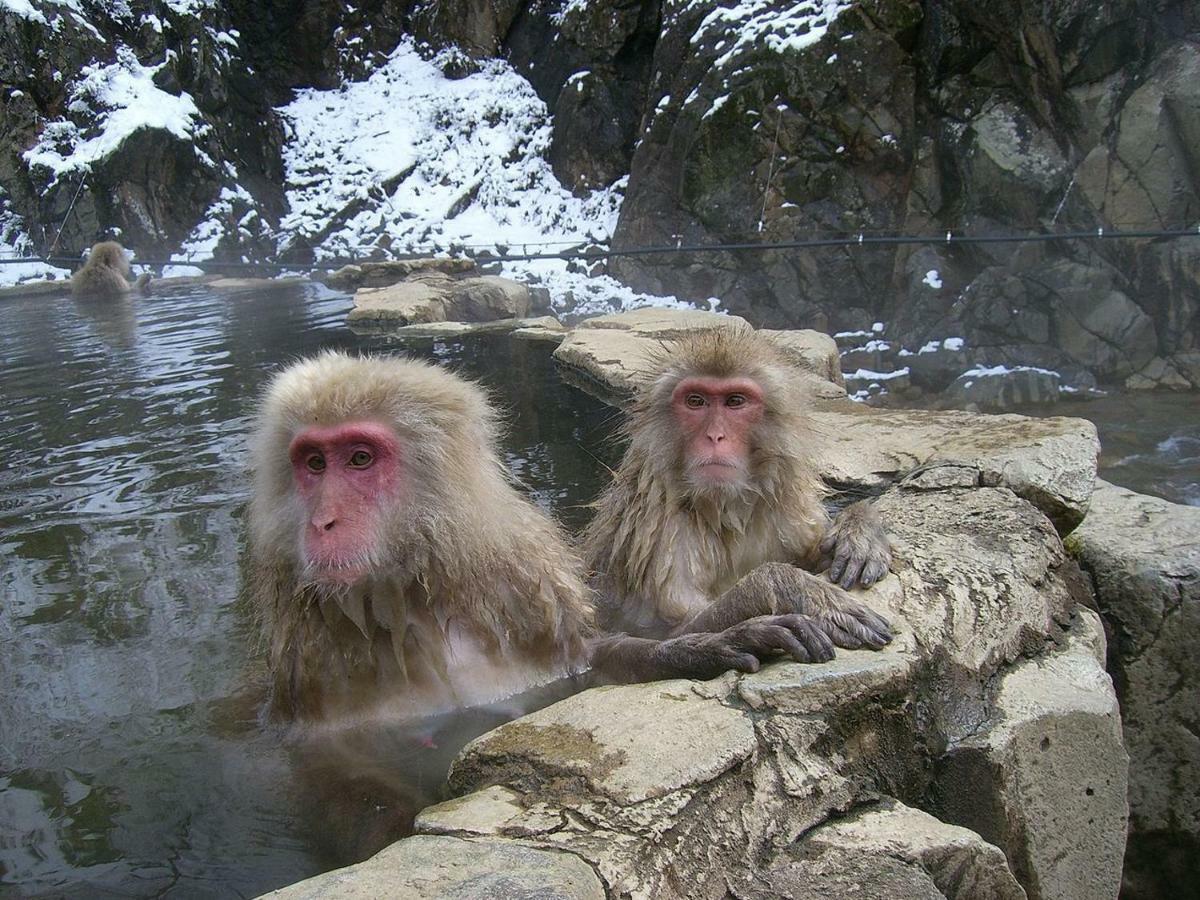 Hana Emi Kan Hakuba Exterior foto